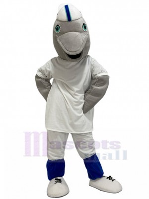 Dauphin costume de mascotte