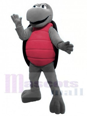 Tortue costume de mascotte