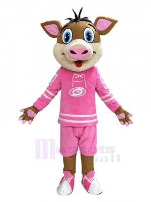 Sanglier costume de mascotte