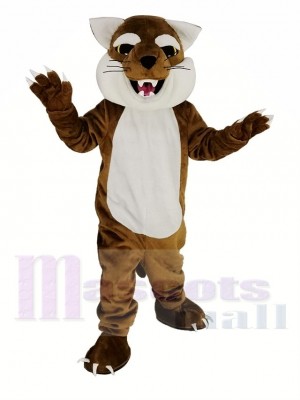 Mignon marron Bobcats Mascotte Costume