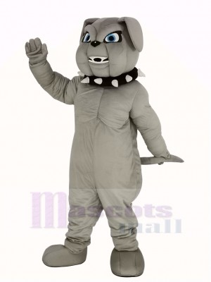 gris Bouledogue Mascotte Costume
