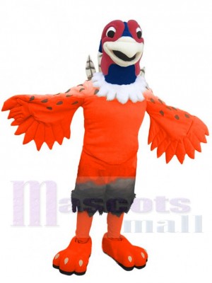 Faisan costume de mascotte