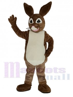 brun Peter Lapin Mascotte Costume Dessin animé