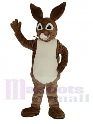 brun Peter Lapin Mascotte Costume Dessin animé