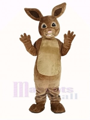 Peter lapin Mascotte Costume