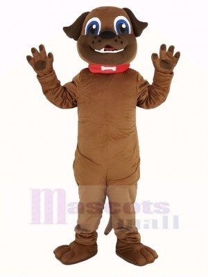 Marron Chiot Chien Mascotte Costume