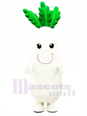 Blanc Un radis Légume Mascotte Costume Dessin animé