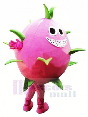 Dragon Fruit Pitaya Mascotte Costume Dessin animé