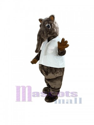 Fourmilier costume de mascotte