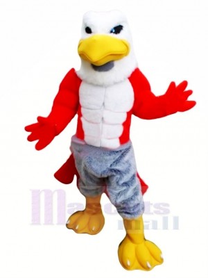 Amical Muscle faucon Mascotte Costume Dessin animé