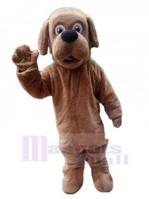 Chien costume de mascotte