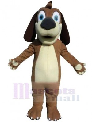 Chien costume de mascotte
