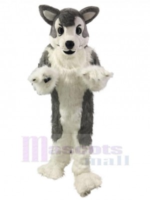 Loup gris poil long Chien husky Costume de mascotte Animal