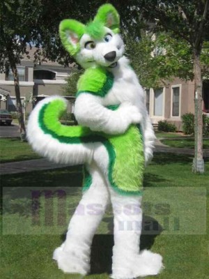 Vert et blanc Chien husky Costume de mascotte Animal