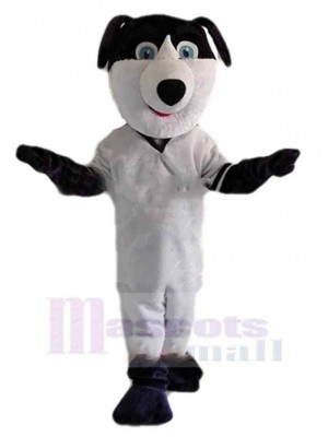Chien costume de mascotte