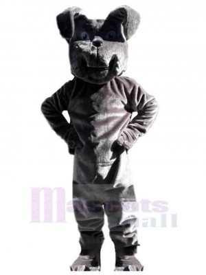 Chien costume de mascotte