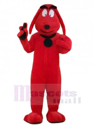 Chien costume de mascotte