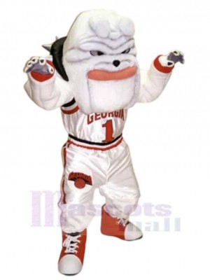 Chien costume de mascotte