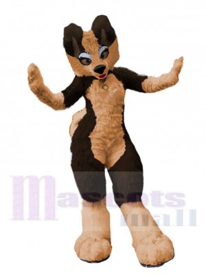 Chien Husky costume de mascotte
