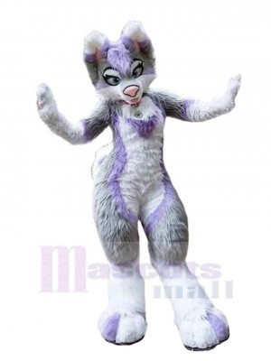 Chien costume de mascotte