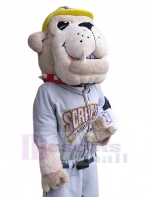 Chien costume de mascotte