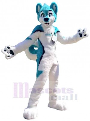 Chien costume de mascotte