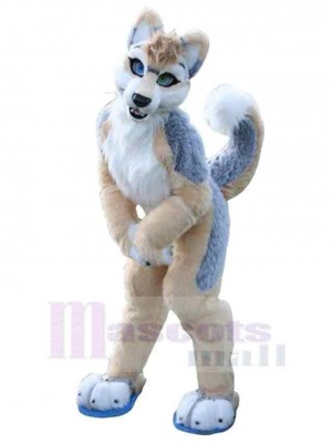 Chien costume de mascotte