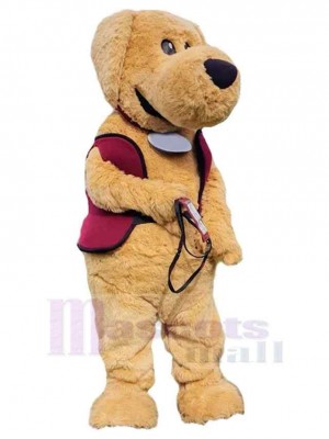 Chien costume de mascotte