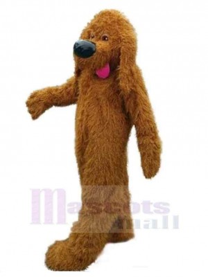 Chien costume de mascotte
