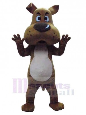 Chien costume de mascotte