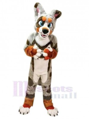 Chien costume de mascotte