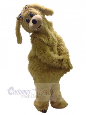 Chien costume de mascotte