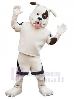 Chien blanc pirate Costume de mascotte Animal