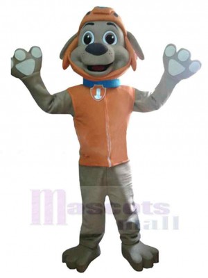 Chien gris Costume de mascotte Animal en gilet orange