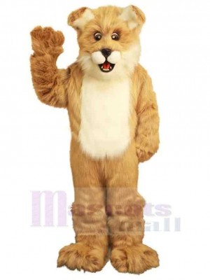 Chien costume de mascotte