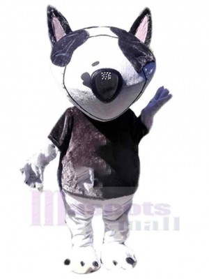 Chien costume de mascotte