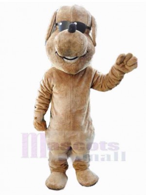 Chien costume de mascotte