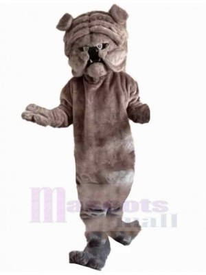 Chien costume de mascotte