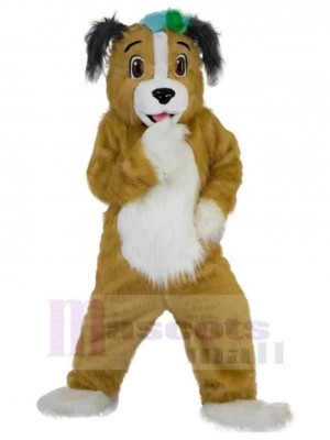 Fursuit drôle de chien Costume de mascotte Animal