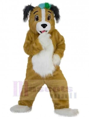 Chien costume de mascotte
