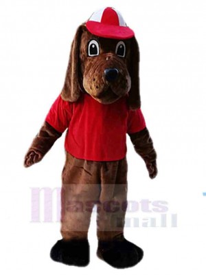 Chien costume de mascotte