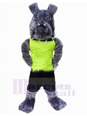 Bouledogue américain gris Costume de mascotte Animal en gilet vert