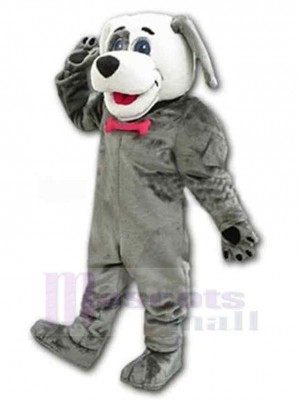Chien gris sympathique Costume de mascotte Animal Adulte