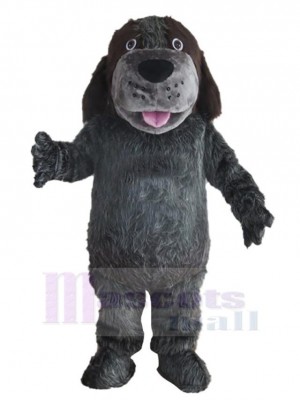 Beau gris foncé Chien husky Costume de mascotte Animal