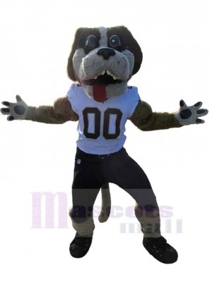 Chien costume de mascotte