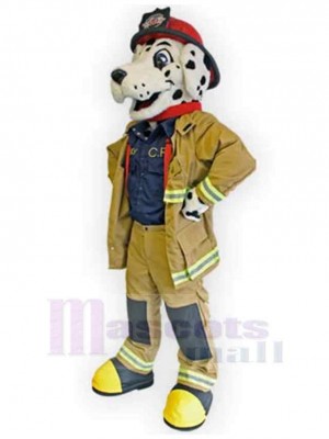 Chien costume de mascotte