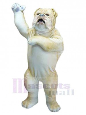 Chien costume de mascotte