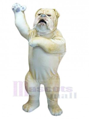 Bouledogue sauvage Costume de mascotte Animal Adulte