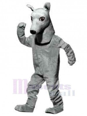 Chien costume de mascotte