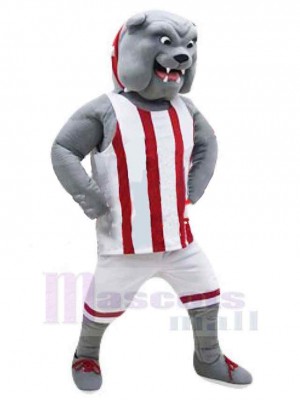 Chien costume de mascotte